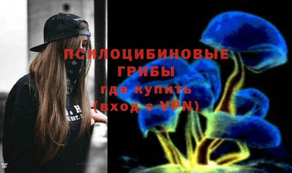 mdpv Надым