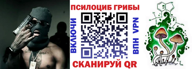 Купить  Кореновск  Галлюциногенные грибы Psilocybe 